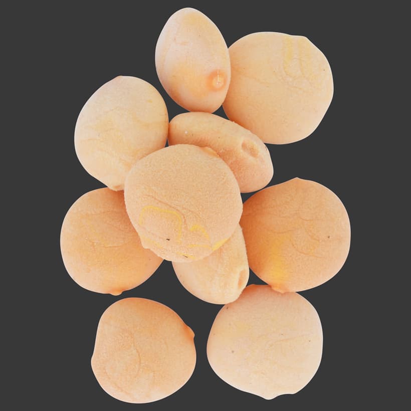 LUPIN SEEDS