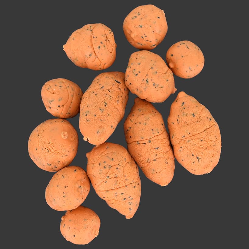TIGER NUTS